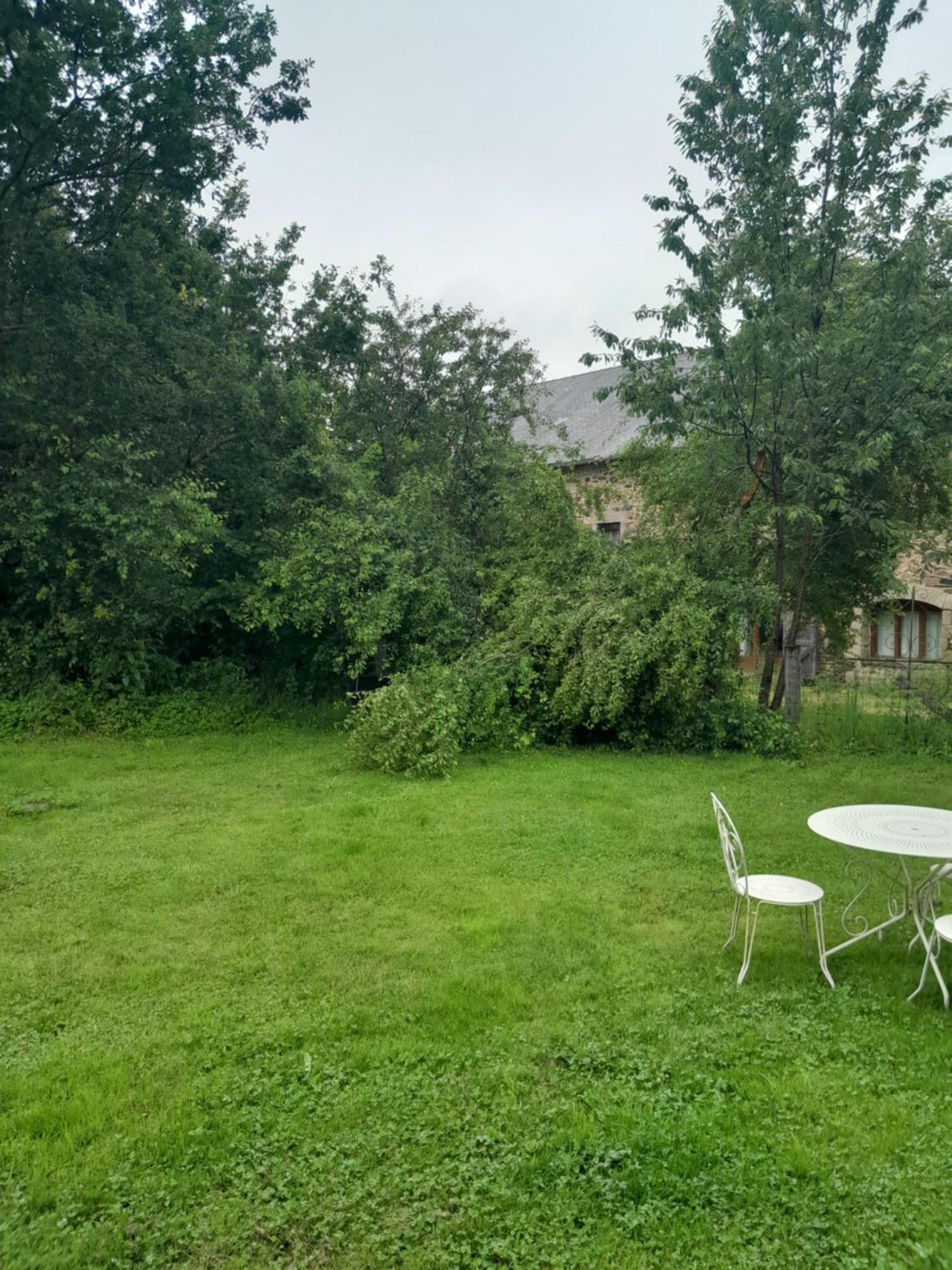 La Petite Salamandre Bleue La Croisille-sur-Briance ภายนอก รูปภาพ